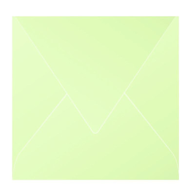 Paquet de 20 enveloppes Pollen 165x165 vert bourgeon