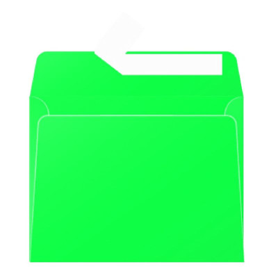 Paquet de 20 enveloppes  Pollen 90x140 vert sapin