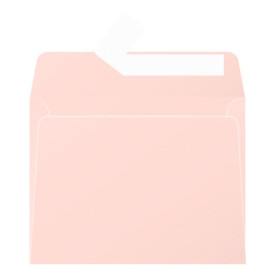 Paquet de 20 enveloppes  Pollen 90x140 gris acier