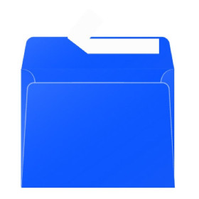 Paquet de 20 enveloppes  Pollen 90x140 bleu nuit