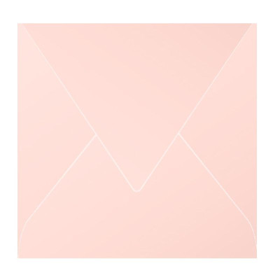 Paquet de 20 enveloppes Pollen 165x165 gris acier