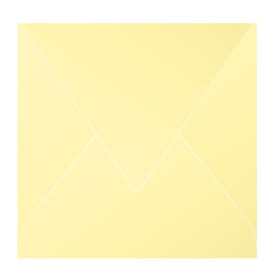 Paquet de 20 enveloppes Pollen 165x165 chamois