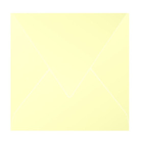 Paquet de 20 enveloppes Pollen 140x140 chamois