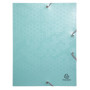 Boite de class PP Dos 40mm Maïa assorti