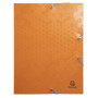 Boite de class PP Dos 40mm Maïa assorti