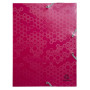 Boite de class PP Dos 40mm Maïa assorti