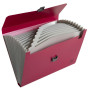 Trieur valisette 13 comp PP Maïa assorti