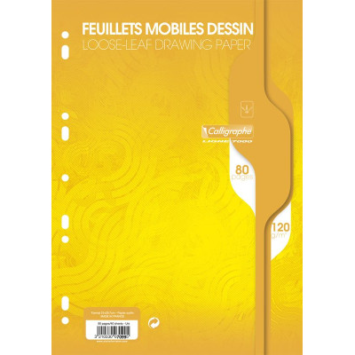 7000, Feuillets mobiles dessin s/film 21x29,7 80p uni 120g