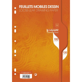 7000, Feuillets mobiles dessin s/film 21x29,7 100p uni 120g