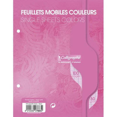 7000, Feuillets mobiles s/film 17x22 rose 100p séyès 80g