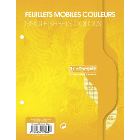 7000, Feuillets mobiles s/film 17x22 jaune 100p séyès 80g