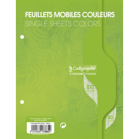 7000, Feuillets mobiles s/film 17x22 vert 100p séyès 80g
