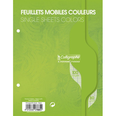 7000, Feuillets mobiles s/film 17x22 vert 100p séyès 80g