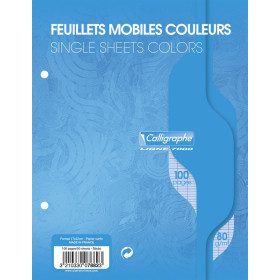 7000, Feuillets mobiles s/film 17x22 bleu 100p séyès 80g