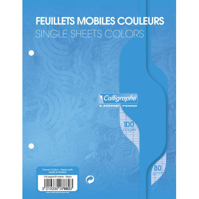 7000, Feuillets mobiles s/film 17x22 bleu 100p séyès 80g