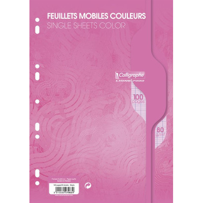 7000, Feuillets mobiles s/film 21x29,7 rose 100p séyès 80g