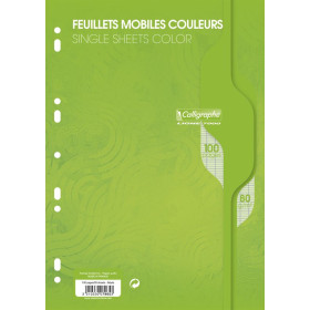 7000, Feuillets mobiles s/film 21x29,7 vert 100p séyès 80g