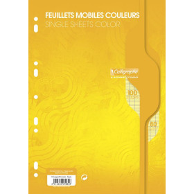 7000, Feuillets mobiles s/film 21x29,7 jaune 100p séyès 80g