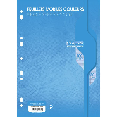 7000, Feuillets mobiles s/film 21x29,7 bleu 100p séyès 80g