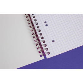 Cahier reliure intégrale 16x21cm 160p 5x5 perfo. 6 trous