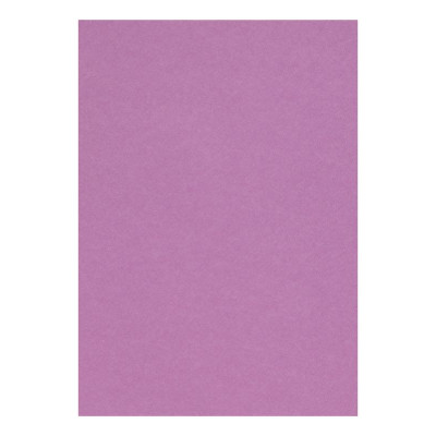 Etui Etival Color A4 5F 160g violet