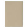 Etui Etival Color A4 5F 160g Champagne