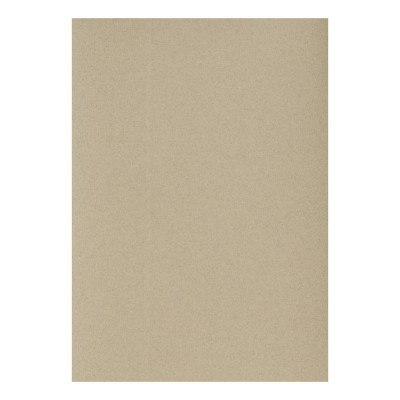 Etui Etival Color A4 5F 160g Champagne
