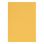 Etui Etival Color A4 5F 160g bouton d'or