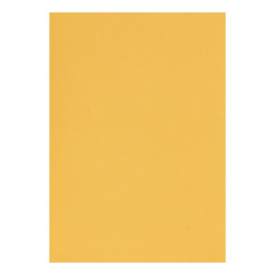 Etui Etival Color A4 5F 160g bouton d'or