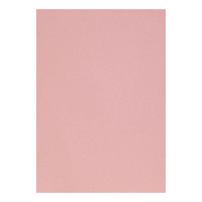 Etui Etival Color A4 5F 160g rose foncé