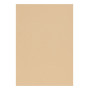 Etui Etival Color A4 5F 160g camel