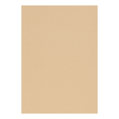 Etui Etival Color A4 5F 160g camel