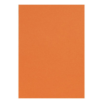 Etui Etival Color A4 5F 160g orange