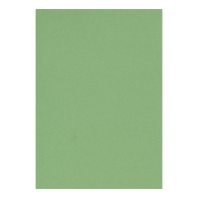 Etui Etival Color A4 5F 160g vert pomme