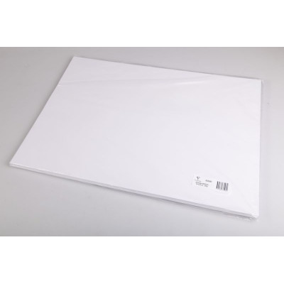 Rame Bristol blanc 50x65cm 25F 205g O