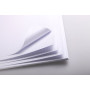 Rame Bristol blanc 50x65cm 25F 205g 5x5