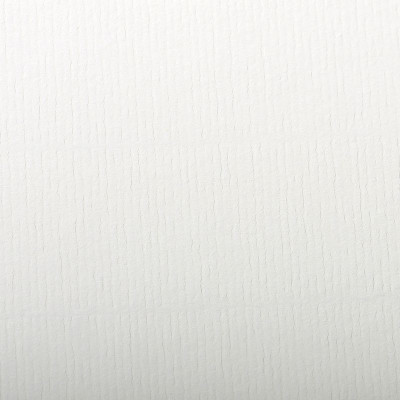 Paquet Ingres-Pastel 50x65cm 25F 130g blanc