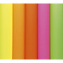 Paquet 25F Affiche fluo 60X80cm sous film assorties