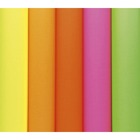 Paquet 25F Affiche fluo 60X80cm sous film assorties