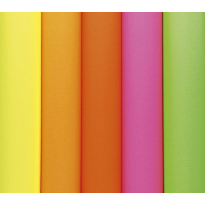 Paquet 25F Affiche fluo 60X80cm sous film assorties