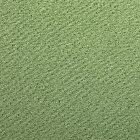Paquet Etival Color A4 25F 160g Vert pomme