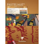 Bloc Pastelmat n°2 18x24 12F 360g