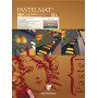 Bloc Pastelmat n°2 30x40 12F 360g