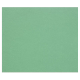 25F Tulipe  160g 50x65cm Vert foncé