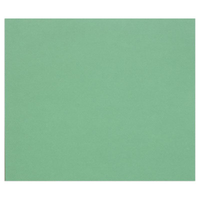 25F Tulipe  160g 50x65cm Vert foncé