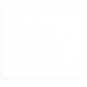 25F Tulipe 160g 50x65cm Blanc