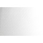 Paquet papier Cardinal 2 Grains 50x65cm 5F 300g