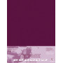 Paquet Pastelmat 50x70 5F 360g Lie de vin