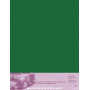 Paquet Pastelmat 70x100 5F 360g Vert foncé