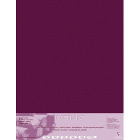 Paquet Pastelmat 70x100 5F 360g Lie de vin